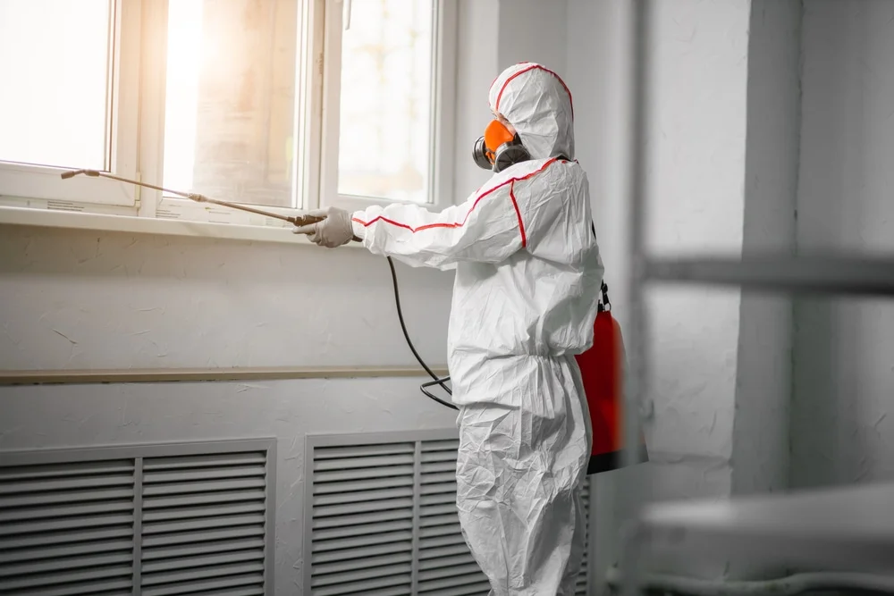 Professional mold remediation services in Gowen, MI